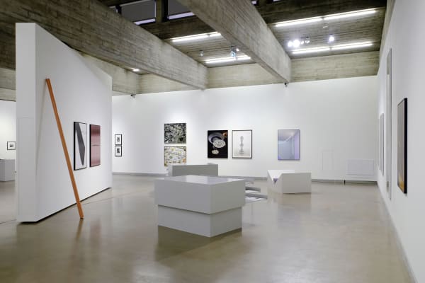 The Lives And Loves Of Images Between Art And Commerce 023