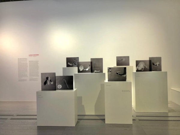 Whatsapp Image 2020 10 05 At 19 56 10