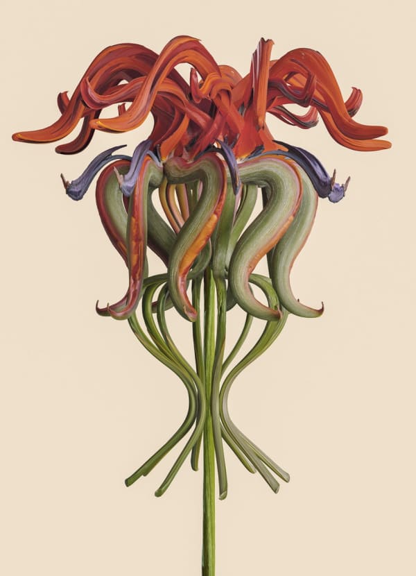 Strelitzia Incognita, 2022 © Vincent Fournier
