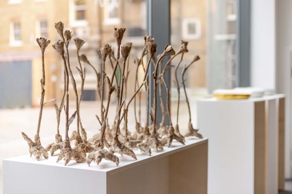 Rear Window London Repeat 10 Ruth Ward