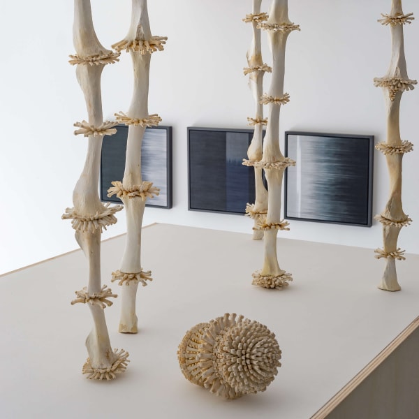 Rear Window London Repeat 16 Ruth Ward