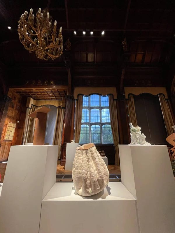 Eye Of The Collector Janet Lines 02