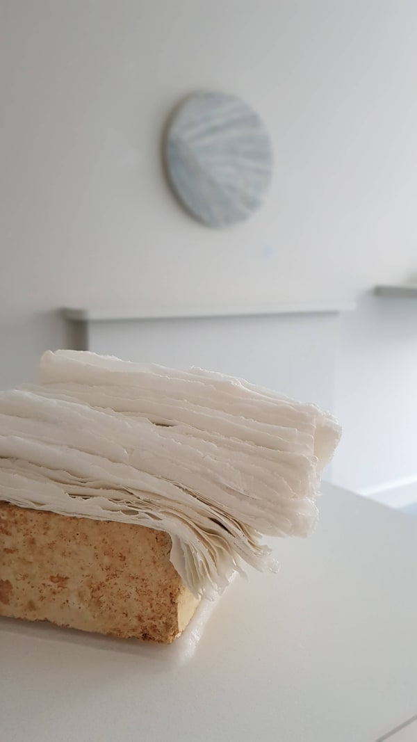 Blanc De Chine Contemporary Ting Ying Gallery X The Scottish Gallery The Scottish Gallery 13