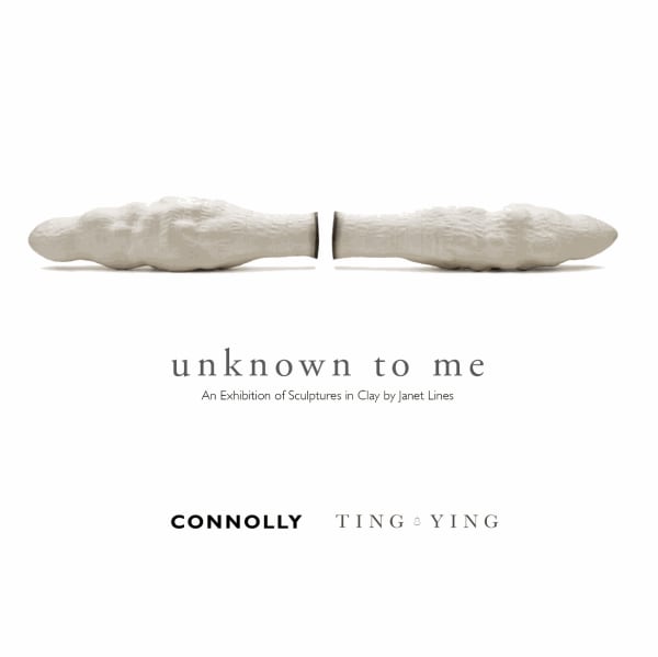 Unknown to Me Connolly, 4 Clifford Street