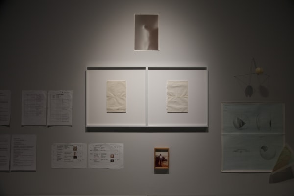 Photo credit / 牛俊強 Niu Jun Qiang