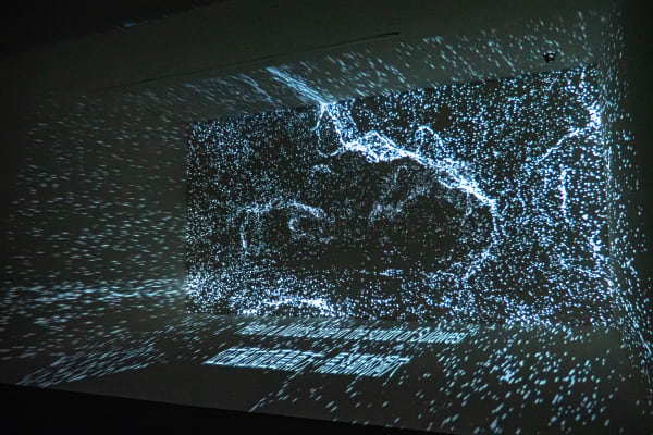 人族,2019 Hominins, 2019