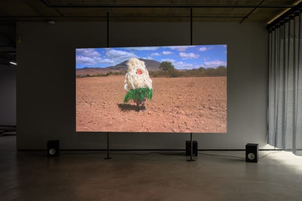 20221105 How To Sing Our Songs On Their Land 0030 Small