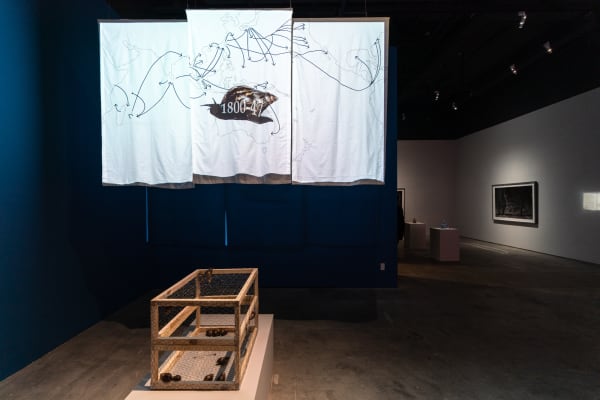 Nutantara Archive #14: Chang En-Man’s Snail Project — The Trail Map and the Taste, CHANG En Man