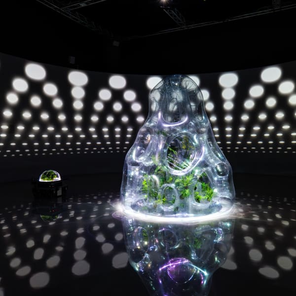 藝術家吳其育現正於國立臺灣美術館參展「串流群落：溫室中的溫室」