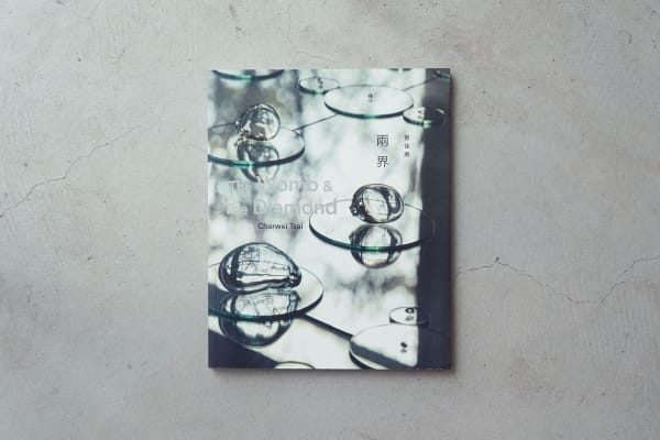 蔡佳葳｜兩界