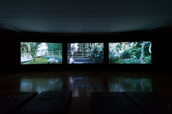 Photo Credit: Mark Sherwood, QAGOMA photography