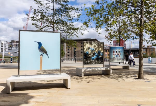 © John Sturrock, for King's Cross