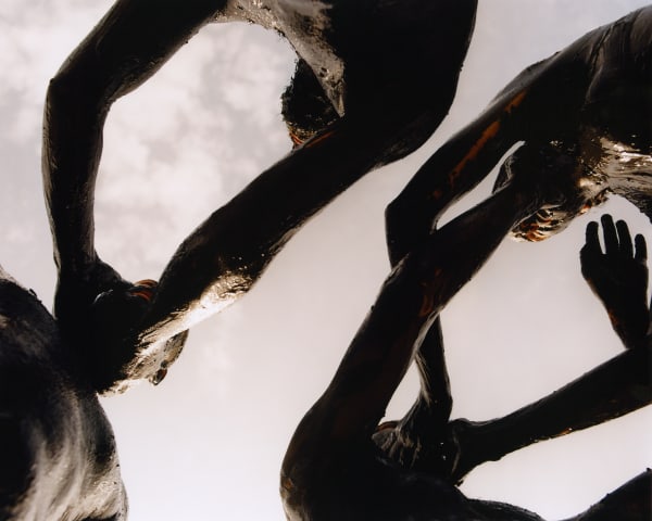 Clarisse d'Arcimoles, The Way of the Salamander, 2024