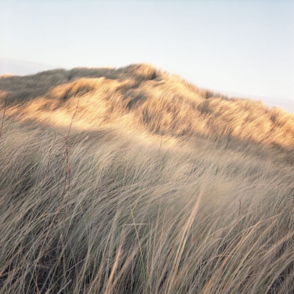 Sophie Gerrard, Menie Milton, 2012, from 'The Dunes'
