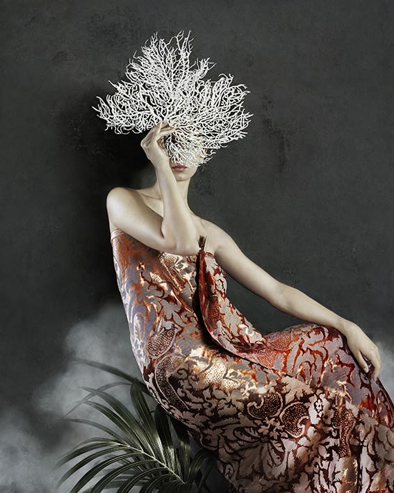 Vee Speers, Untitled #23, 2020, from 'Phoenix'