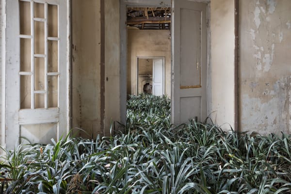 Gohar Dashti - Untitled #6, 2023