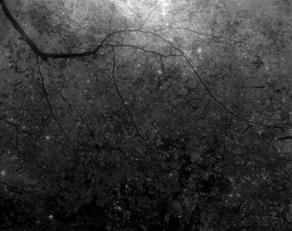 Nicholas Hughes: The Sound of Space Breathing