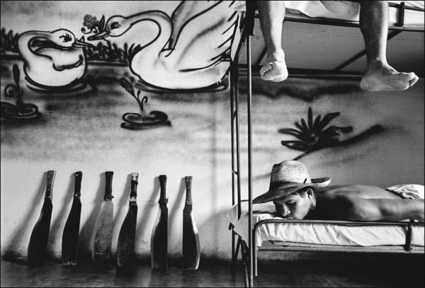 Raúl Cañibano Chronicles of an Island