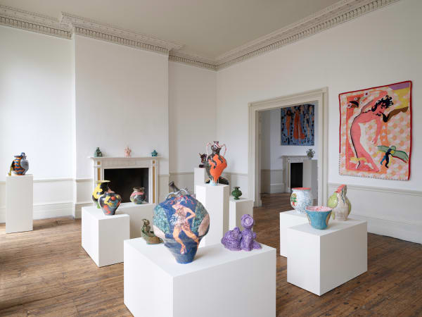 Sexing The Cherry Install 27