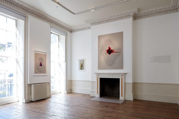 Tristan Hoare Carolina Mazzolari 10