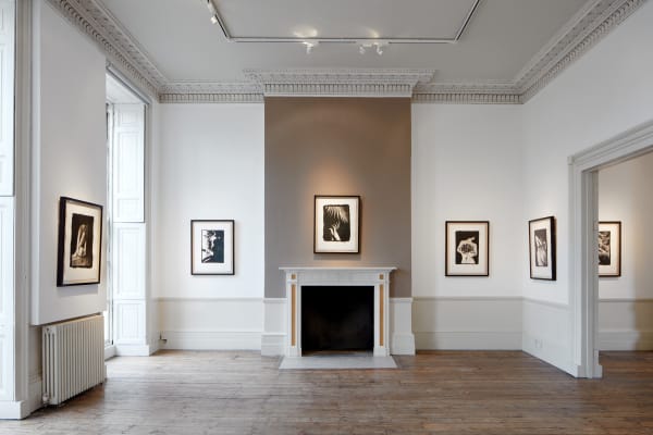 Tristan Hoare Imagining Tina 004