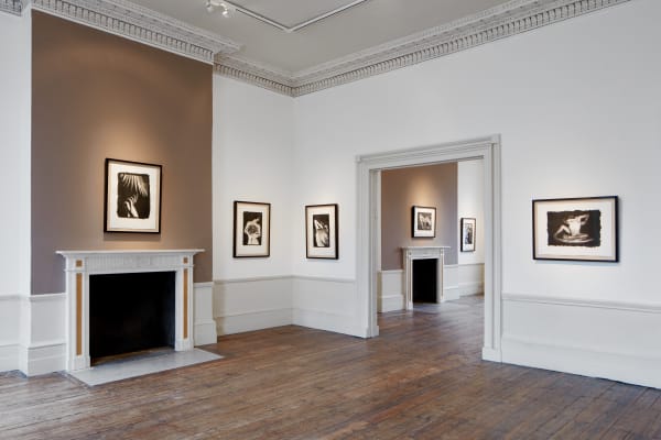 Tristan Hoare Imagining Tina 025