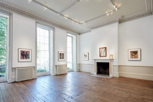 John Stewert Stillness Tristan Hoare 02