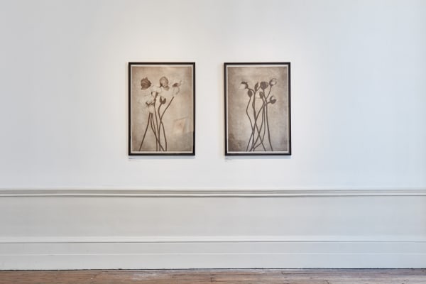 John Stewert Stillness Tristan Hoare 10