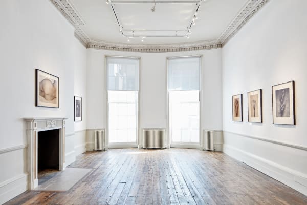 John Stewert Stillness Tristan Hoare 11