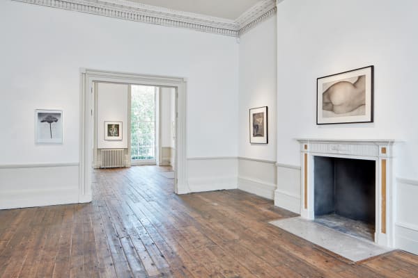 John Stewert Stillness Tristan Hoare 12