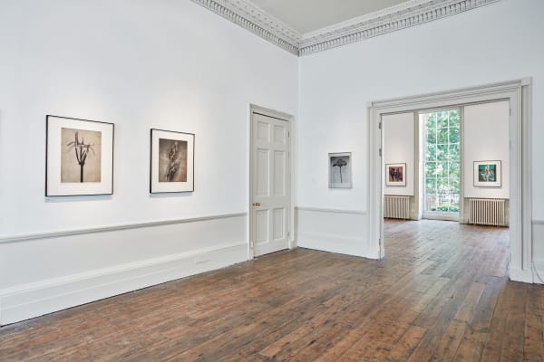 John Stewert Stillness Tristan Hoare 13