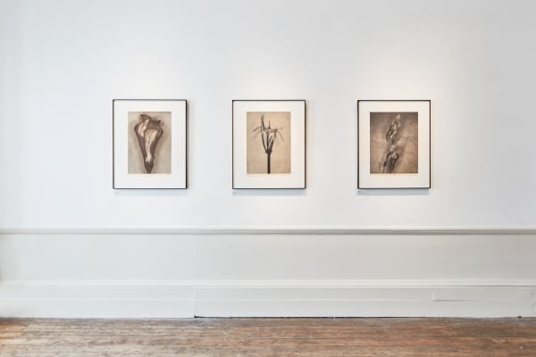 John Stewert Stillness Tristan Hoare 14