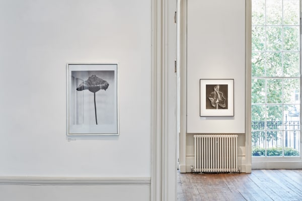 John Stewert Stillness Tristan Hoare 15