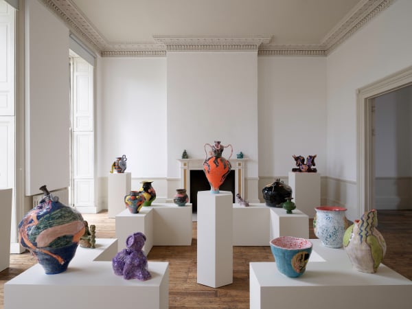 Sexing The Cherry Install 26