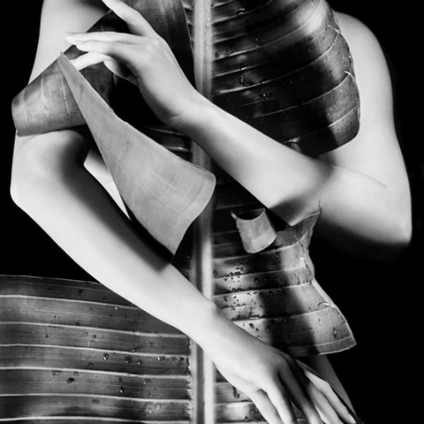 ‘I Transposed Myself Into His Imaginative Psyche’: How Legendary Photographer Edward Weston Inspired Maryam Eisler’s New