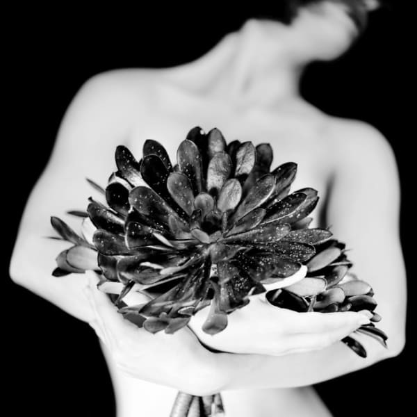 Reimagining Edward Weston Through the Lens of Maryam Eisler