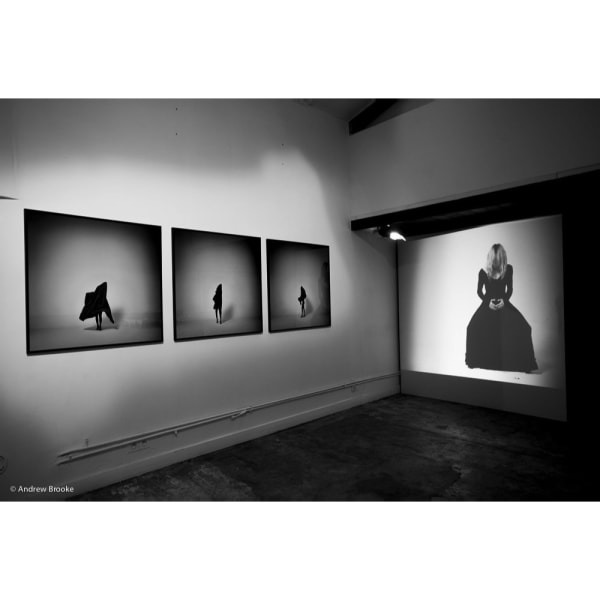 Carolina Mazzolari, 'Dark Blooms' Triptych and 'Breathing Mother', 2014