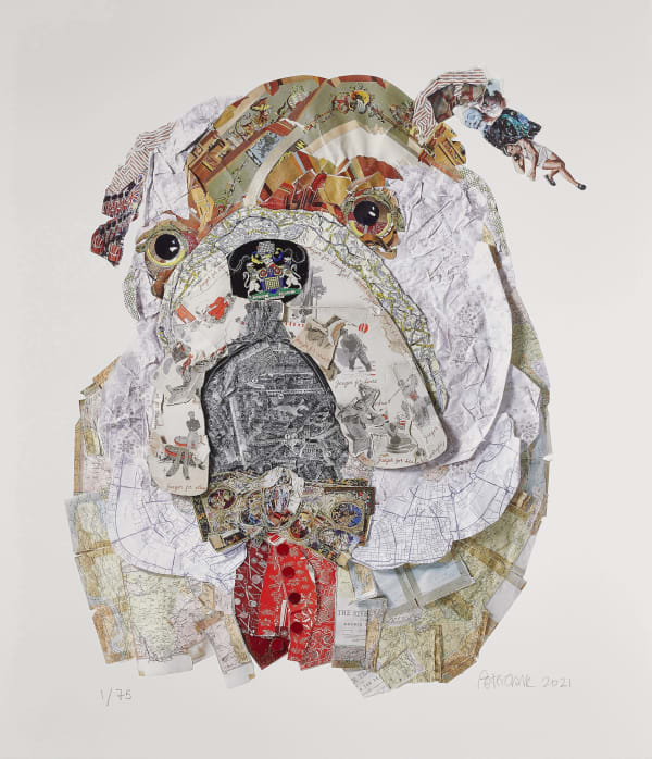 Who Let the Dogs in???