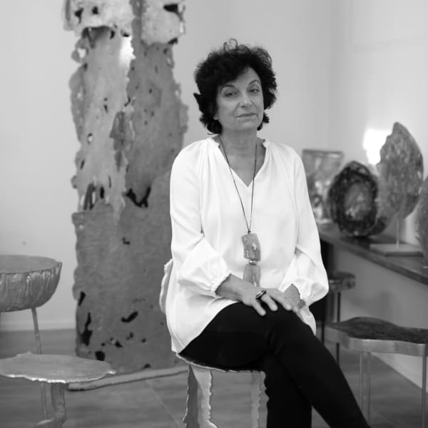 Hélène de Saint Lager - Carrapace Cabinet, 2024