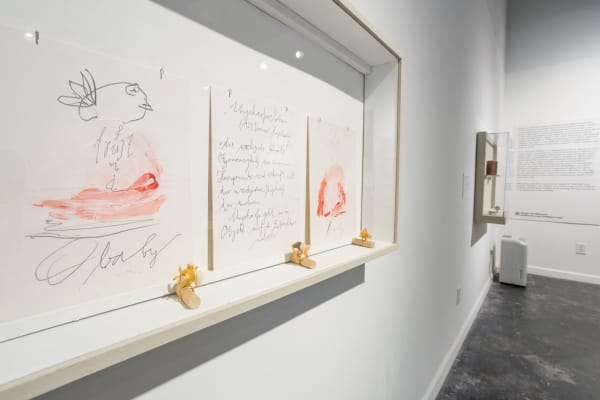 Wall display for Rings! exhibition in situ at houston center for contemporary craft, houston, texas, photo by Katy Anderson