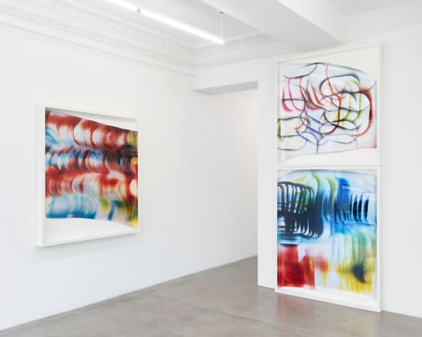 Gallery installation view, Mariah Robertson