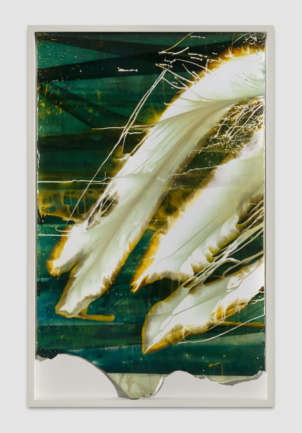 013, 2014-2021 Chemical treatment on RA-4 paper 50 x 30 in 127 x 76.2 cm