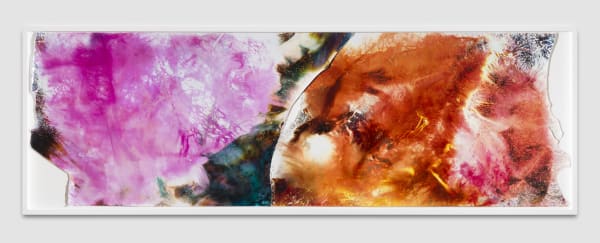100 & 123, 2015-2022 Chemical treatment on RA-4 paper 92 x 30 in 233.7 x 76.2 cm