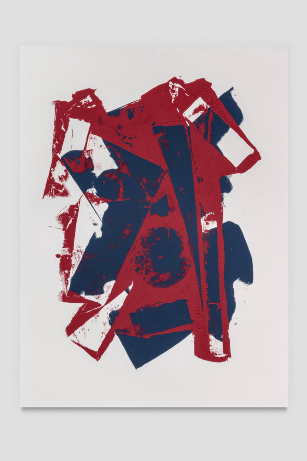 Aiko Hachisuka 9017, 2017 Monoprint 30 x 22 inches (76.2 x 55.9 cm)