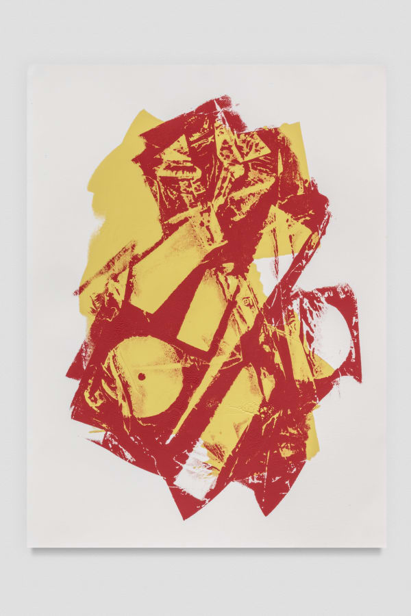 Aiko Hachisuka 9020, 2017 Monoprint 30 x 22 inches (76.2 x 55.9 cm)