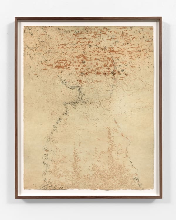 Salamandra, 2018 Etching, sugarlift open bite, drypoint 2 copper plates: 19 1/2 x 15 1/2 inches (49.5 x 39.5 cm) Printed on natural Hahnemühle paper, 350 gr.: 19 1/8 x 15 1/8 inches (48.5 x 38.5 cm) Edition of 14