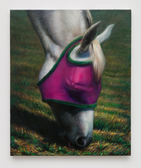 TM Davy horses (xoo) 2016 Oil on linen 79 x 99 inches (200.7 x 251.5 cm) TMD 229