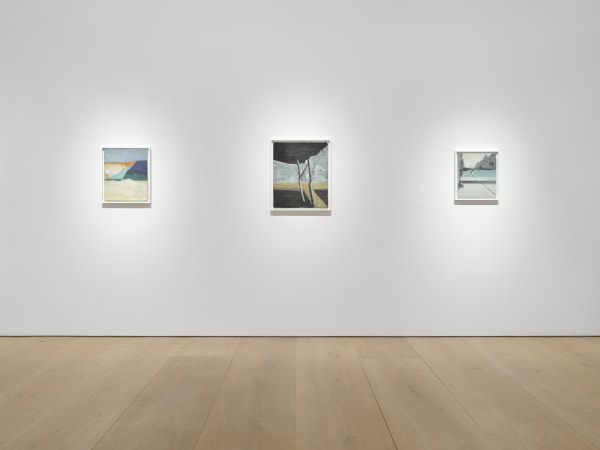 Ilse D’Hollander