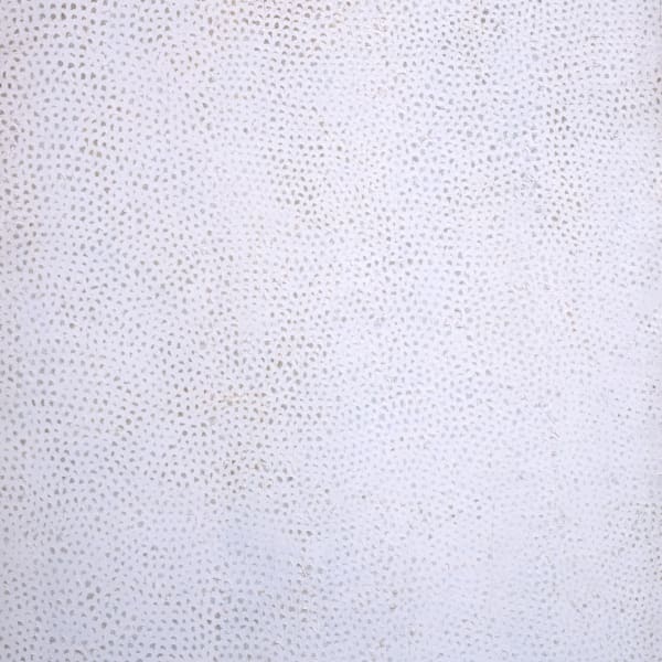 An exhibition focusing on Yayoi Kusama’s iconic Infinity Nets opens at the Yayoi Kusama Museum, Tokyo