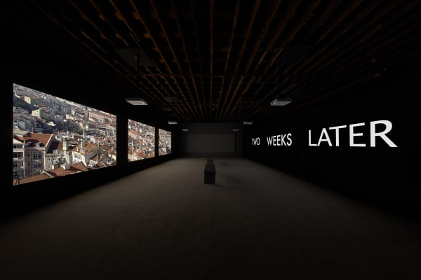 Stan Douglas: The Secret Agent in Cinéma mon amour: Film in Art at Aargauer Kunsthaus